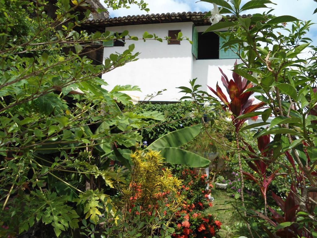 Casa Mirage Pipa , Apartamentos Praia de Pipa Eksteriør billede